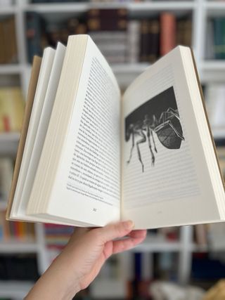 Walden. Thoreau. Edición ilustrada 200 aniv