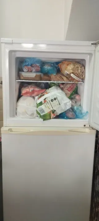 Nevera Discovery 2 puertas