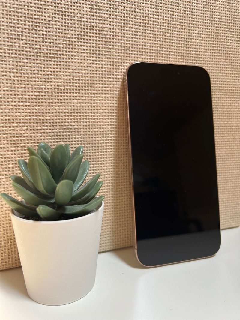 iPhone 16 Pro Max 256GB afbeelding 3