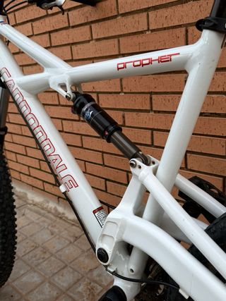 Cannondale Trail Prophet