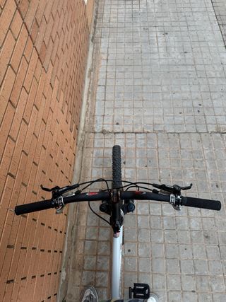 Cannondale Trail Prophet