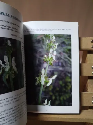 Libro La riqueza natural de Oden W11