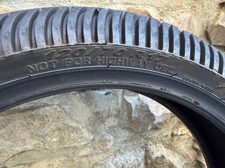 Neumáticos Pirelli Agua Peludos