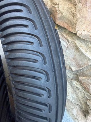 Neumáticos Pirelli Agua Peludos