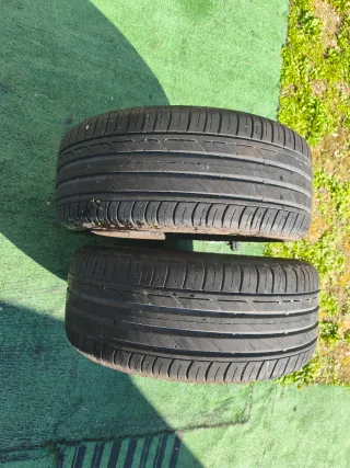 2 Ruedas 225/45 R17 Bridgestone turenza