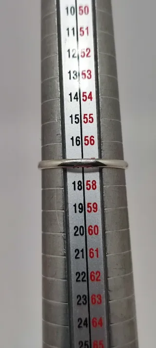 Anillo de Plata y Granate.