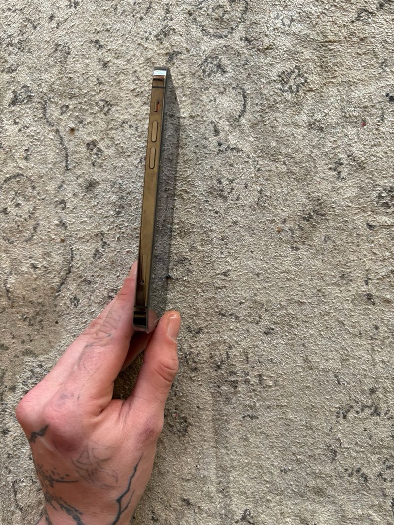 iPhone 12 Pro Gris afbeelding 4