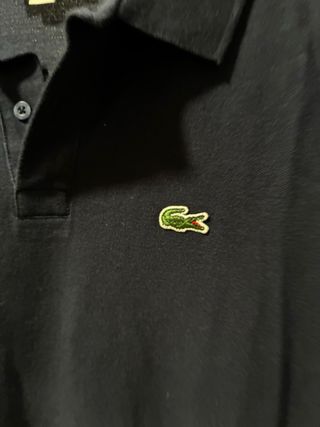 Polo Lacoste