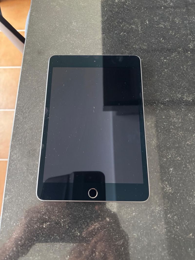 iPad Mini 5ª Gen 256 GB Plata