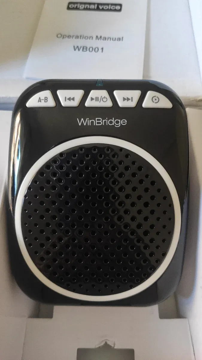 Amplificador Voz WinBridge WB001 Negro
