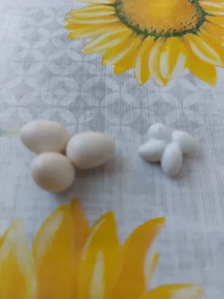 Huevos Playmobil