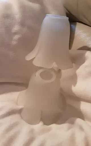 Coppia Tulipani Vetro