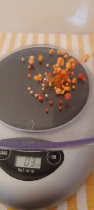 Orecchini pendenti frizzanti arancio e rossi