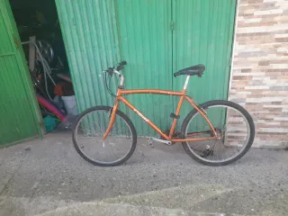 Bicicleta Naranja Montaña