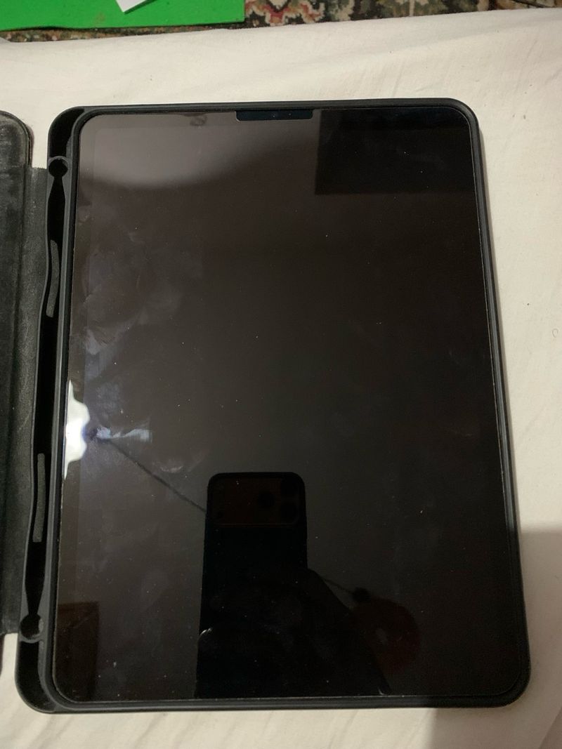 iPad Pro 11 4ta Gen Gris Espacial afbeelding 6