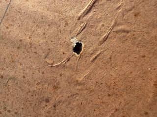 Antico dipinto su carta vintage