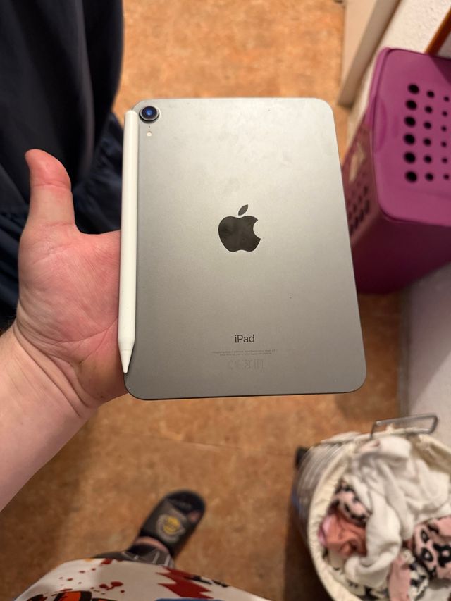 iPad mini 6ª Gen 256GB Plata + Apple Pencil