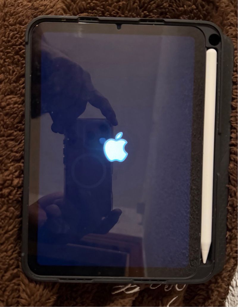 iPad mini 6ª Gen 256GB Plata + Apple Pencil afbeelding 4