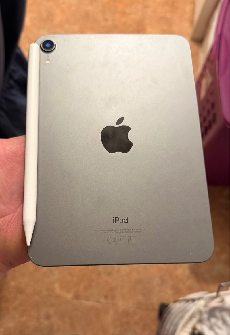 iPad mini 6ª Gen 256GB Plata + Apple Pencil afbeelding 2
