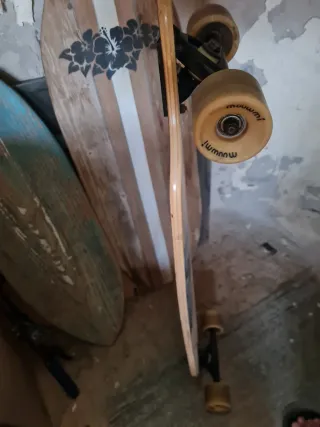 Tabla Longboard Curvada Diseño Palmeras