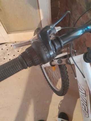 Bicicleta Avigo Mujer