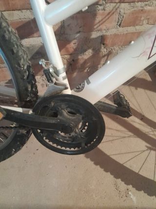 Bicicleta Avigo Mujer