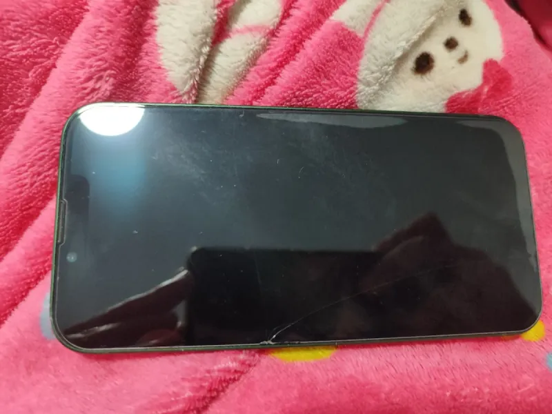 iPhone 13