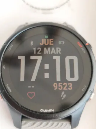 Garmin Forerunner 255 GPS Smartwatch