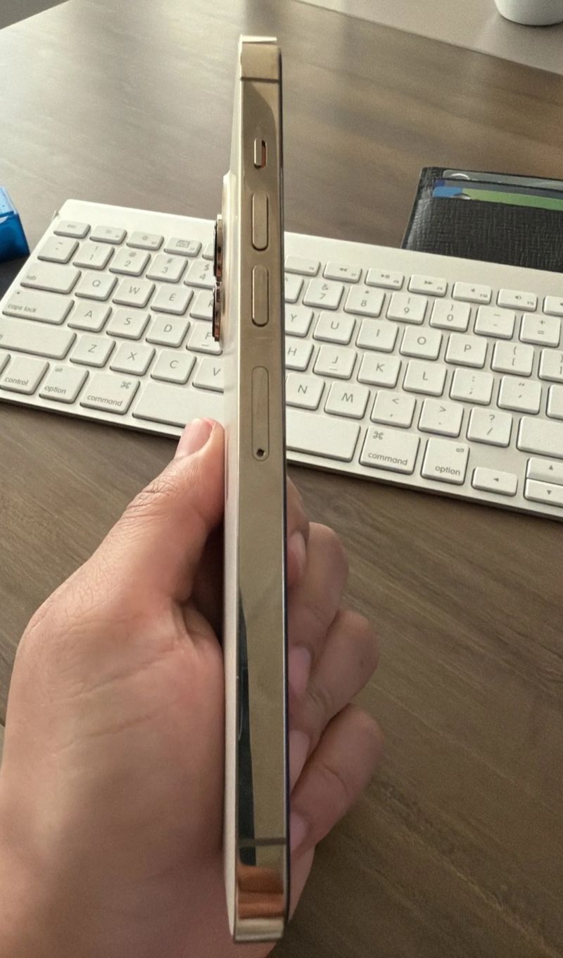 iPhone 13 Pro Max 256GB Plata afbeelding 4