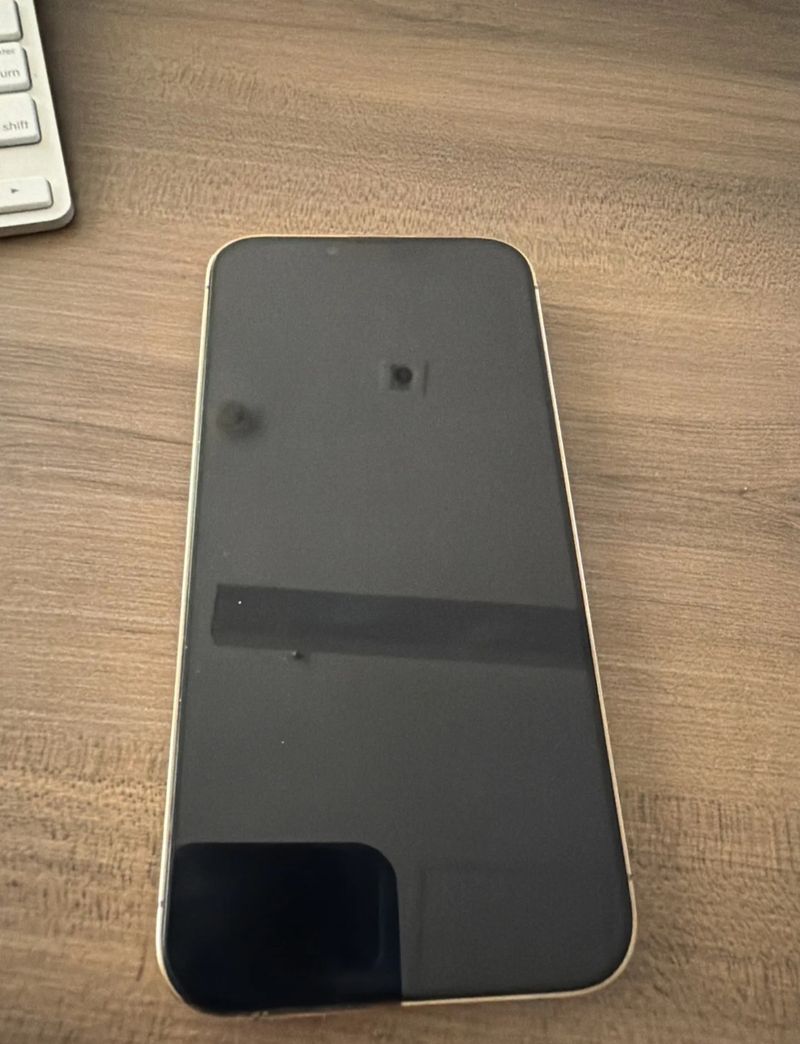 iPhone 13 Pro Max 256GB Plata afbeelding 2