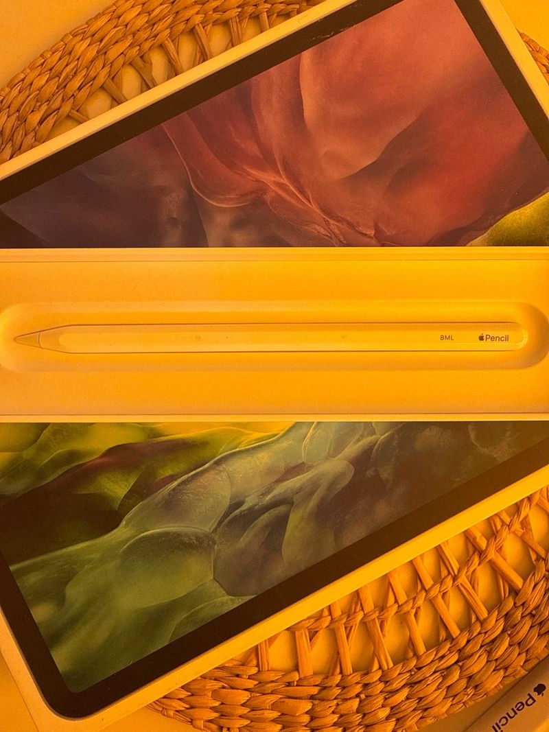 iPad Pro 11 2ª Gen (2020) 256GB + Apple Pencil afbeelding 4