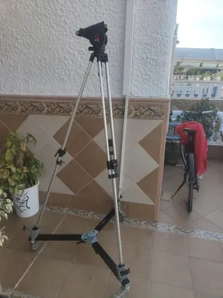 Trípode Manfrotto 351 + Cabezal 116 MK