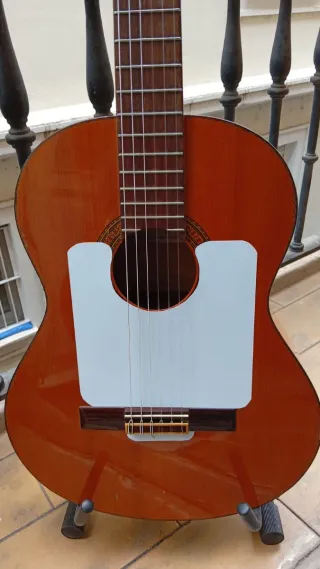 Guitarra Flamenca 3f