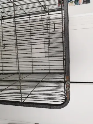 Jaula grande para loros, ninfas, etc.