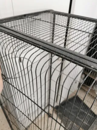 Jaula grande para loros, ninfas, etc.