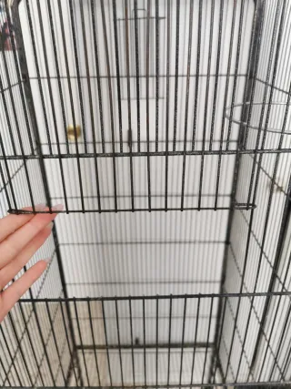 Jaula grande para loros, ninfas, etc.