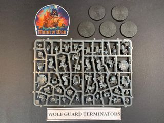 Wolf Guard Terminators Space Marines Warhammer 40k