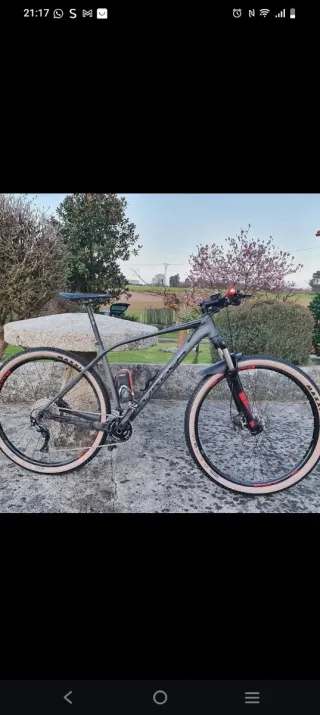 Bicicleta Orbea  alma Montaña 29l