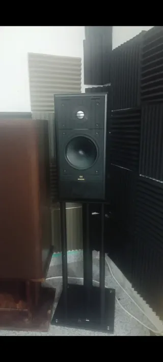 ALTAVOCES CELESTION 100