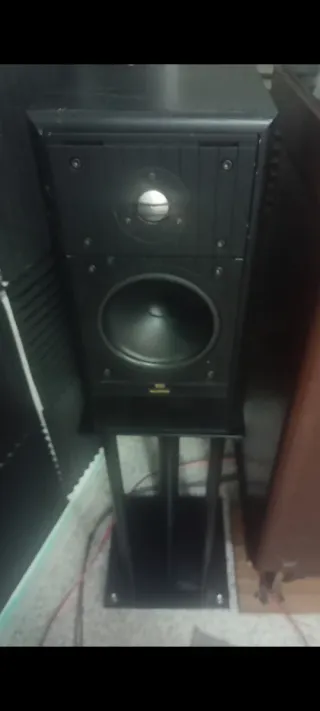 ALTAVOCES CELESTION 100