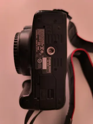 Canon EOS 500D + EFS 18-135 IS