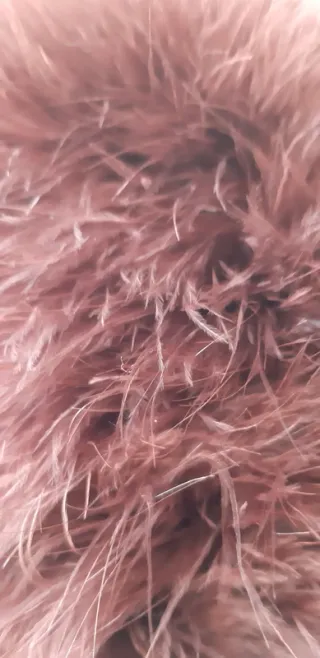 Cappello piume bordeaux