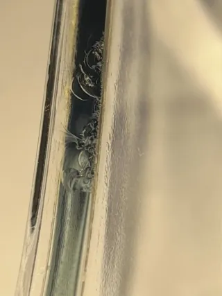 Set di tre teglie in vetro per forno con libro di ricette