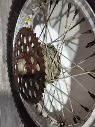 Rueda Tras. Montesa Cota 247 348