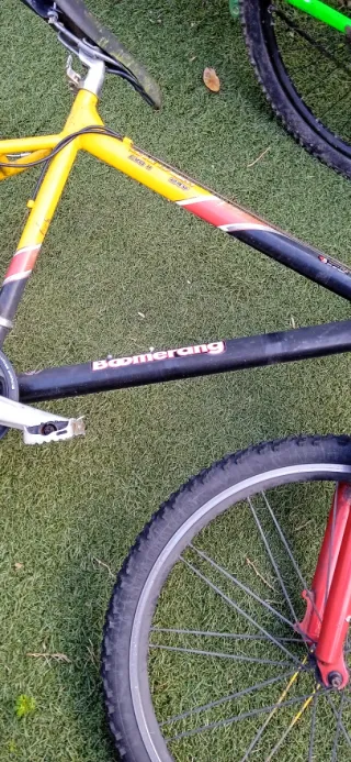 Bicicleta Boomerang Montaña