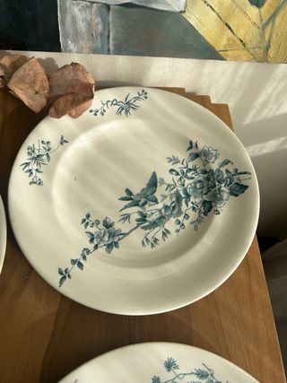 Platos Terre de Fer Longwy