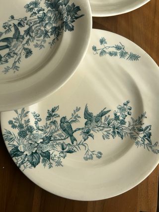 Platos Terre de Fer Longwy