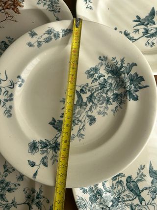 Platos Terre de Fer Longwy