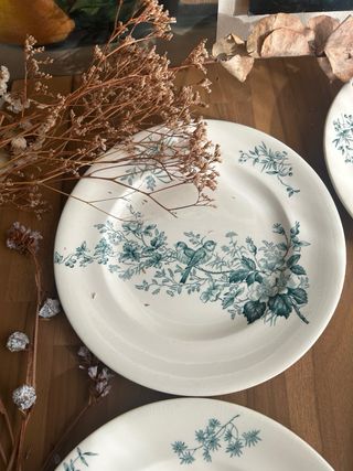 Platos Terre de Fer Longwy