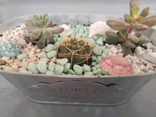 Suculentas y cactus en maceta decorada